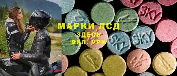 стафф Арсеньев