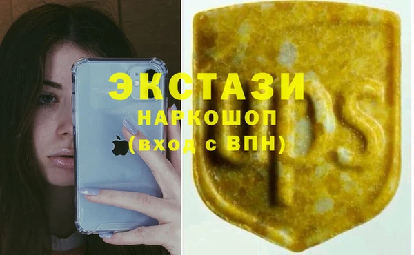 стафф Арсеньев