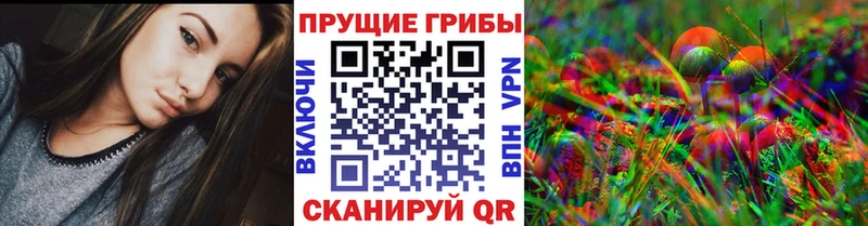 Псилоцибиновые грибы Psilocybine cubensis  Арсеньев 