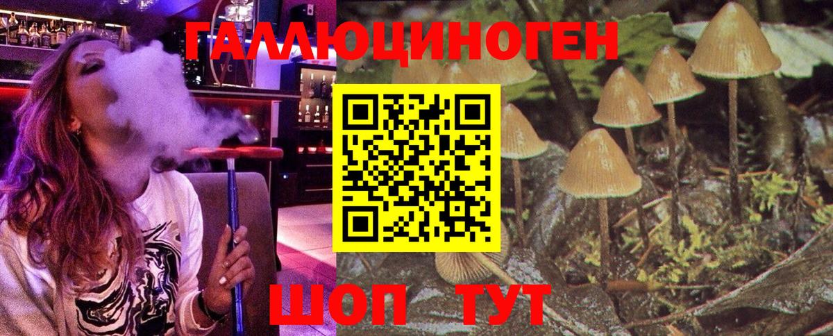 Арсеньев  Псилоцибиновые грибы ЛСД  Вход с VPN 